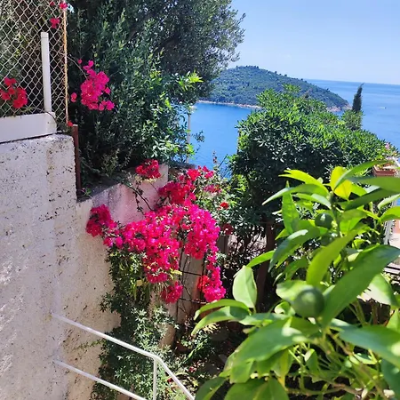 Agneza Dubrovnik